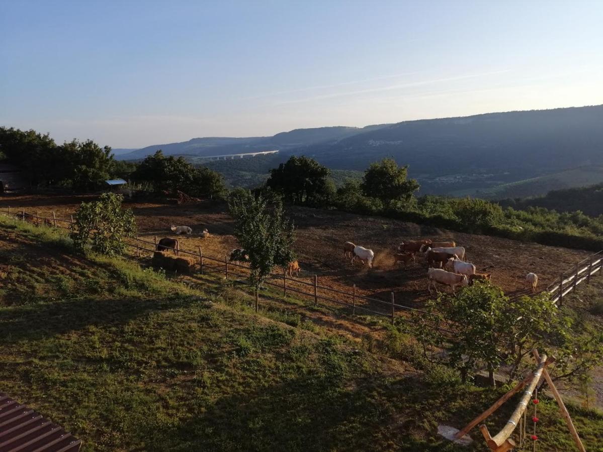 Camping Jakomin Koper Buitenkant foto